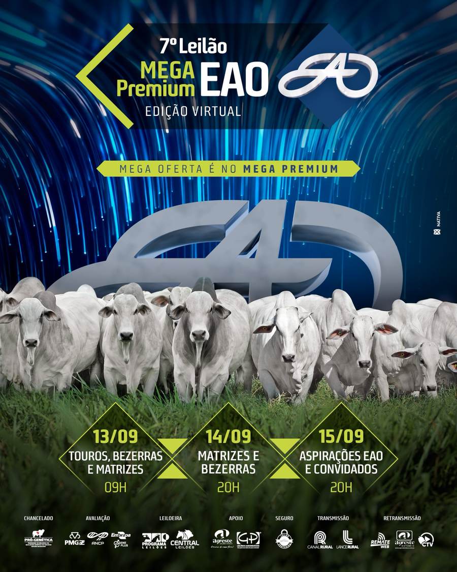 7º Leilão Mega Premium EAO, 13 a 15 de setembro