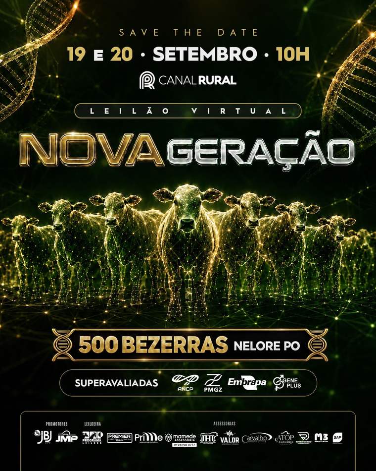Leilão Virtual Nova Geração, 19 e 20 de setembro