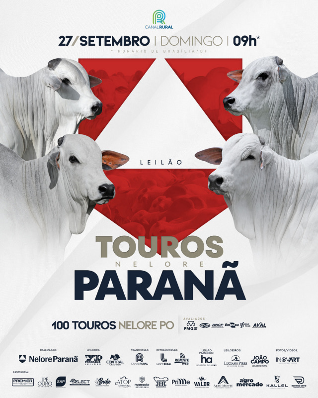 Leilão Touros Nelore Paranã, 27 de setembro, 100 touros Nelore PO